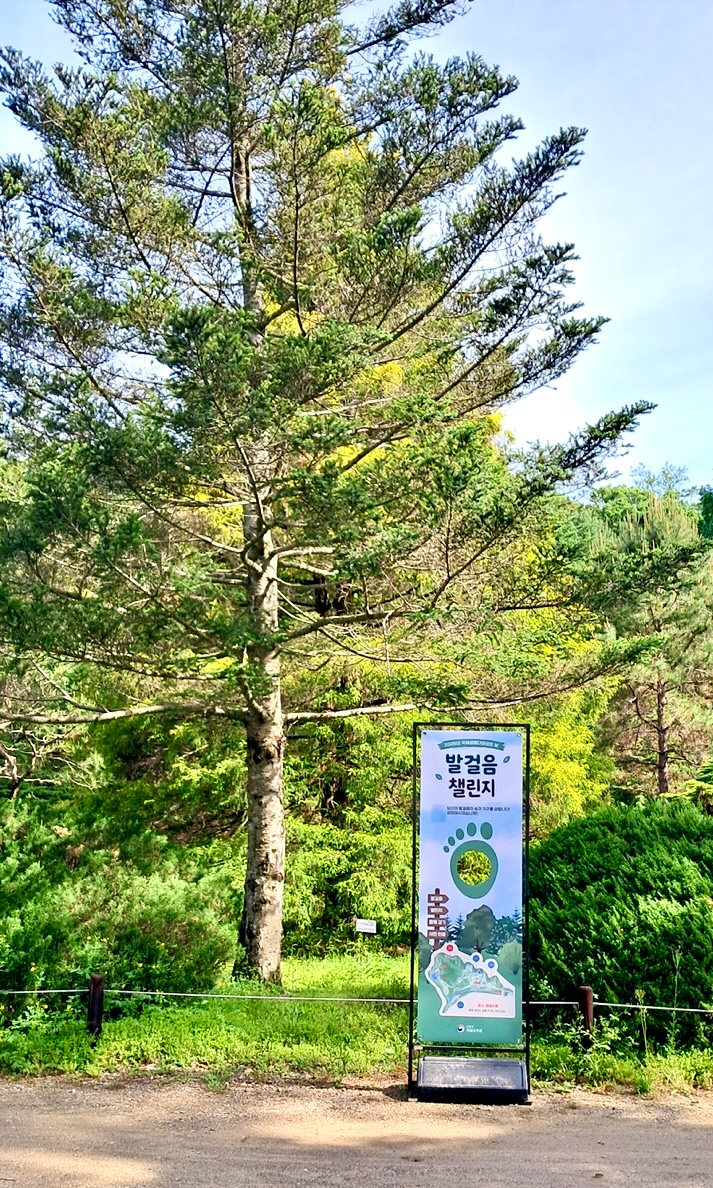 구상나무 인증장소.jpg
