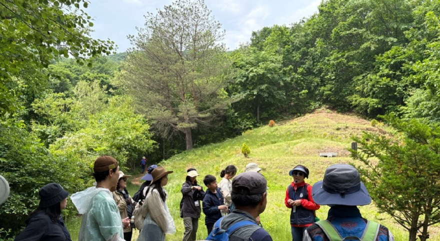 사진2.2025년 비무장지대 펀치볼둘레길에서 ‘감자꽃 & 숲길 걷기’ 행사를 진행하고 있는 모습.jpg
