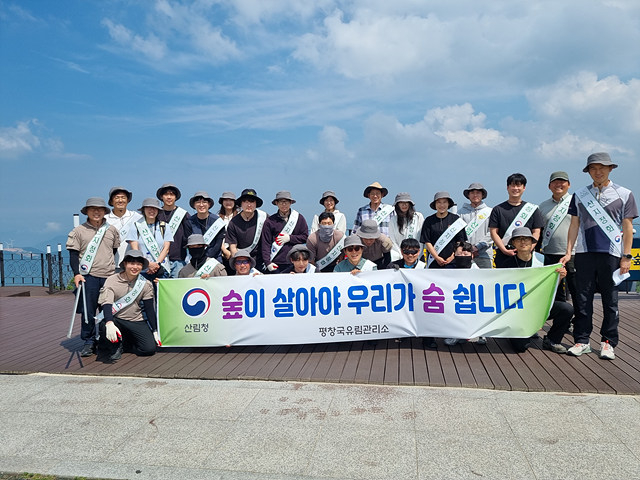 평창 산림정화.jpg