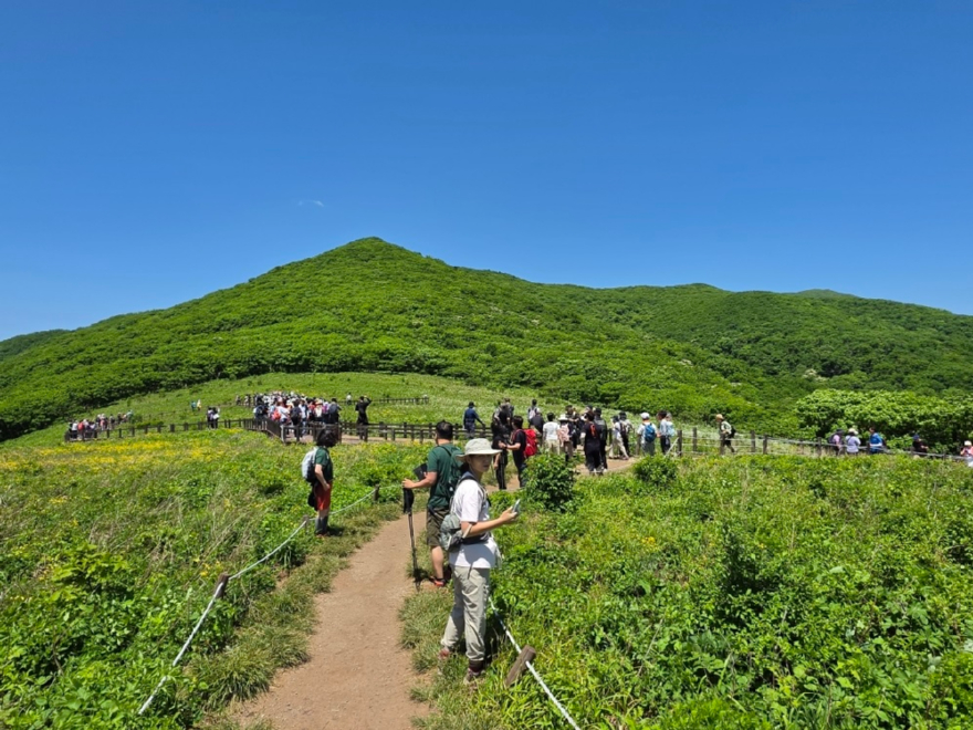 보도자료 사진(인제국유림관리소, 천상의 화원 곰배령 안전한 산행문화 확산 나선다).jpg