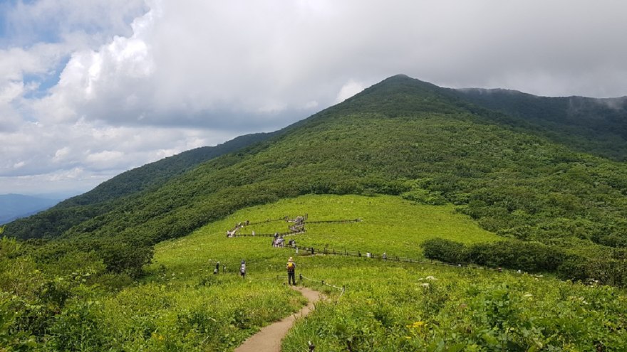 정상데크1.jpg